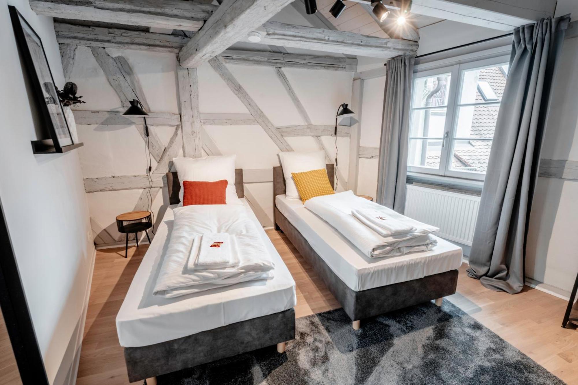 Apartment Cozy #dachterasse#exquisit#fachwerk#90qm Schwabach