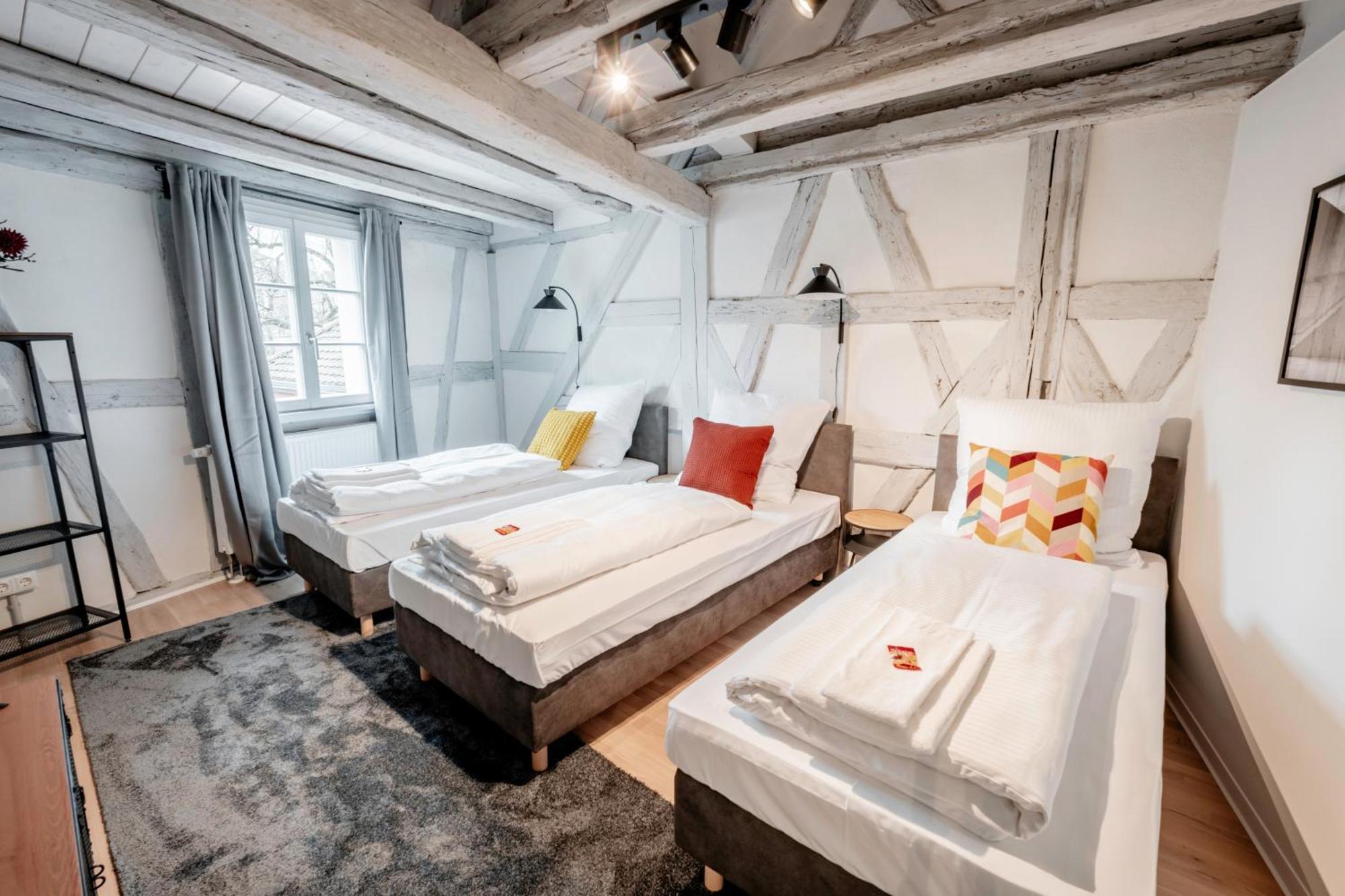 Cozy #dachterasse#exquisit#fachwerk#90qm Apartment Schwabach